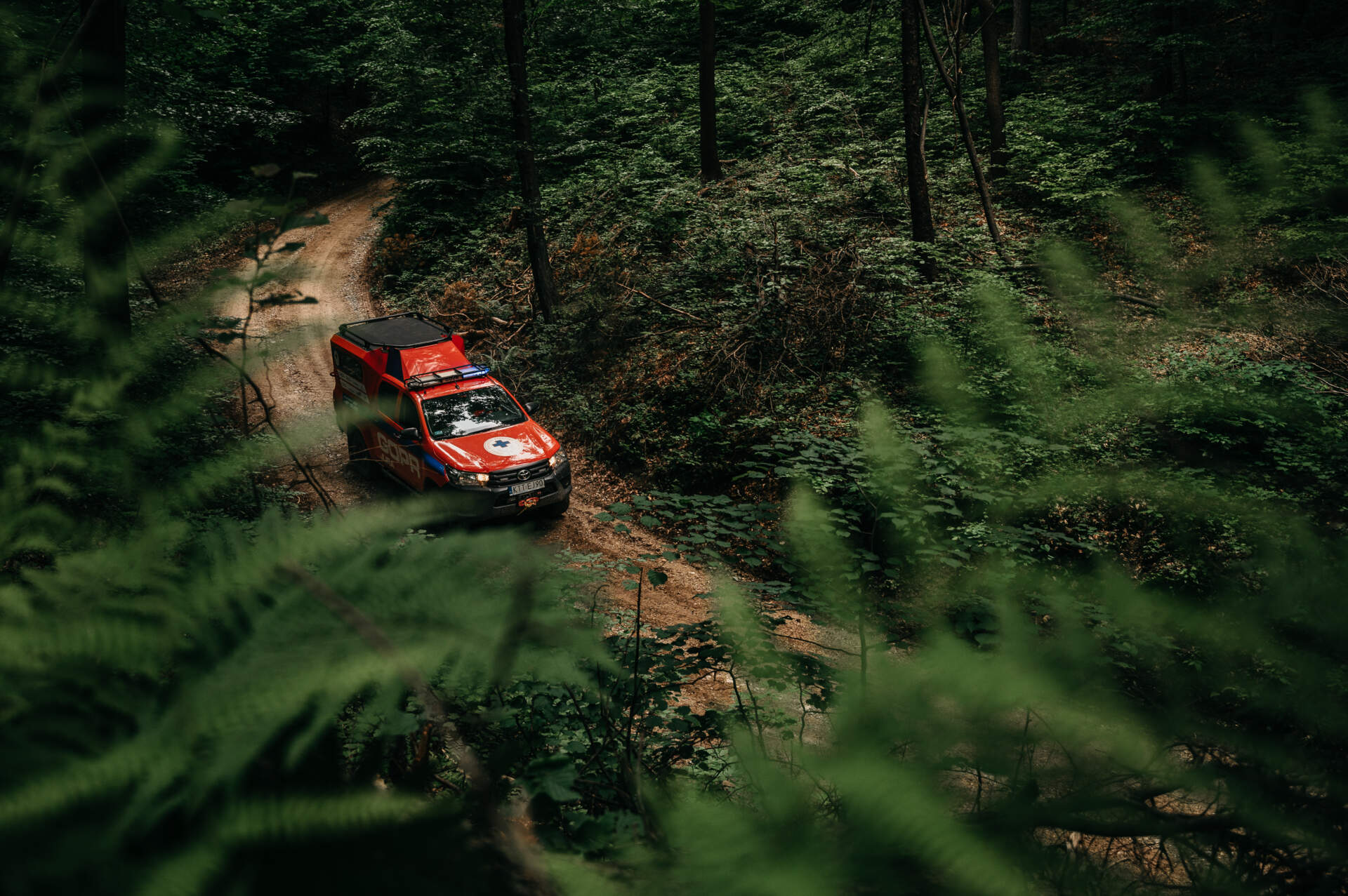 Tło grafiki reklamowej